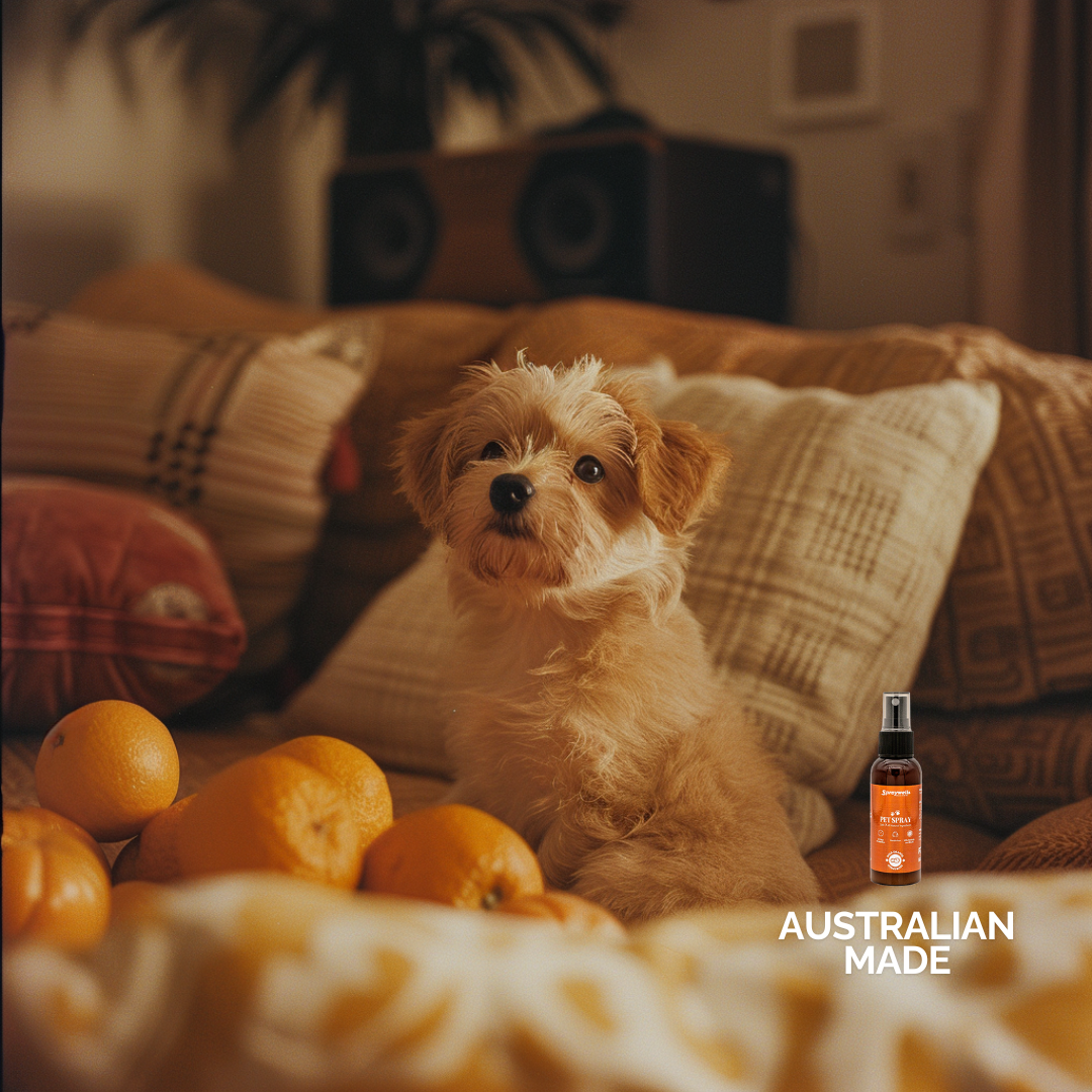 Pet Spray - Wild Orange - 100mL/50mL