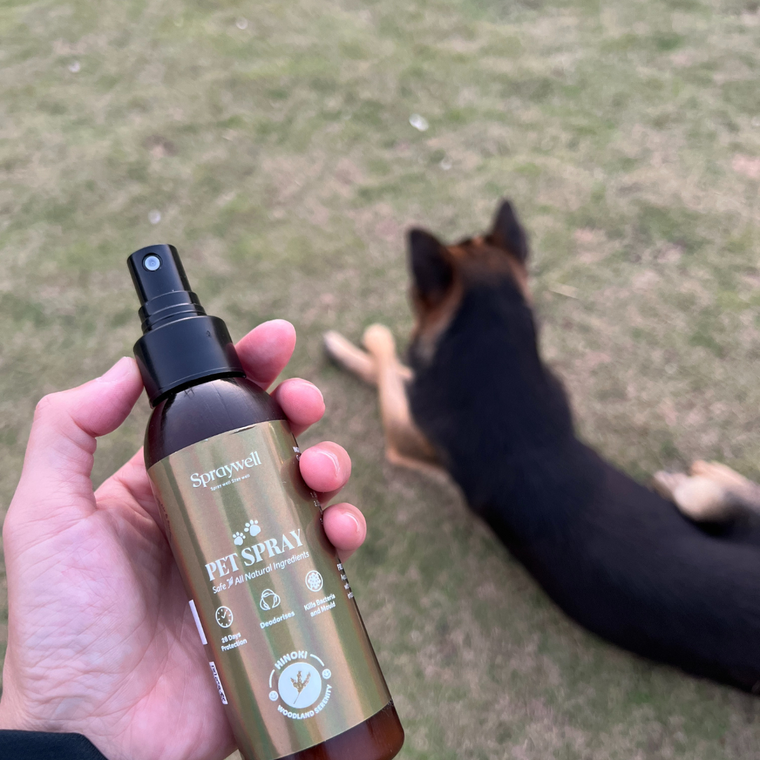 Pet Spray - Hinoki - 100mL/50mL