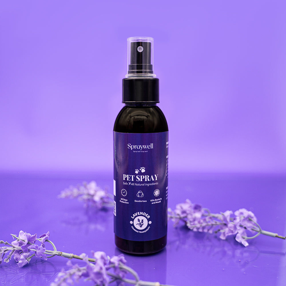Pet Spray - Lavender - 100mL/50mL