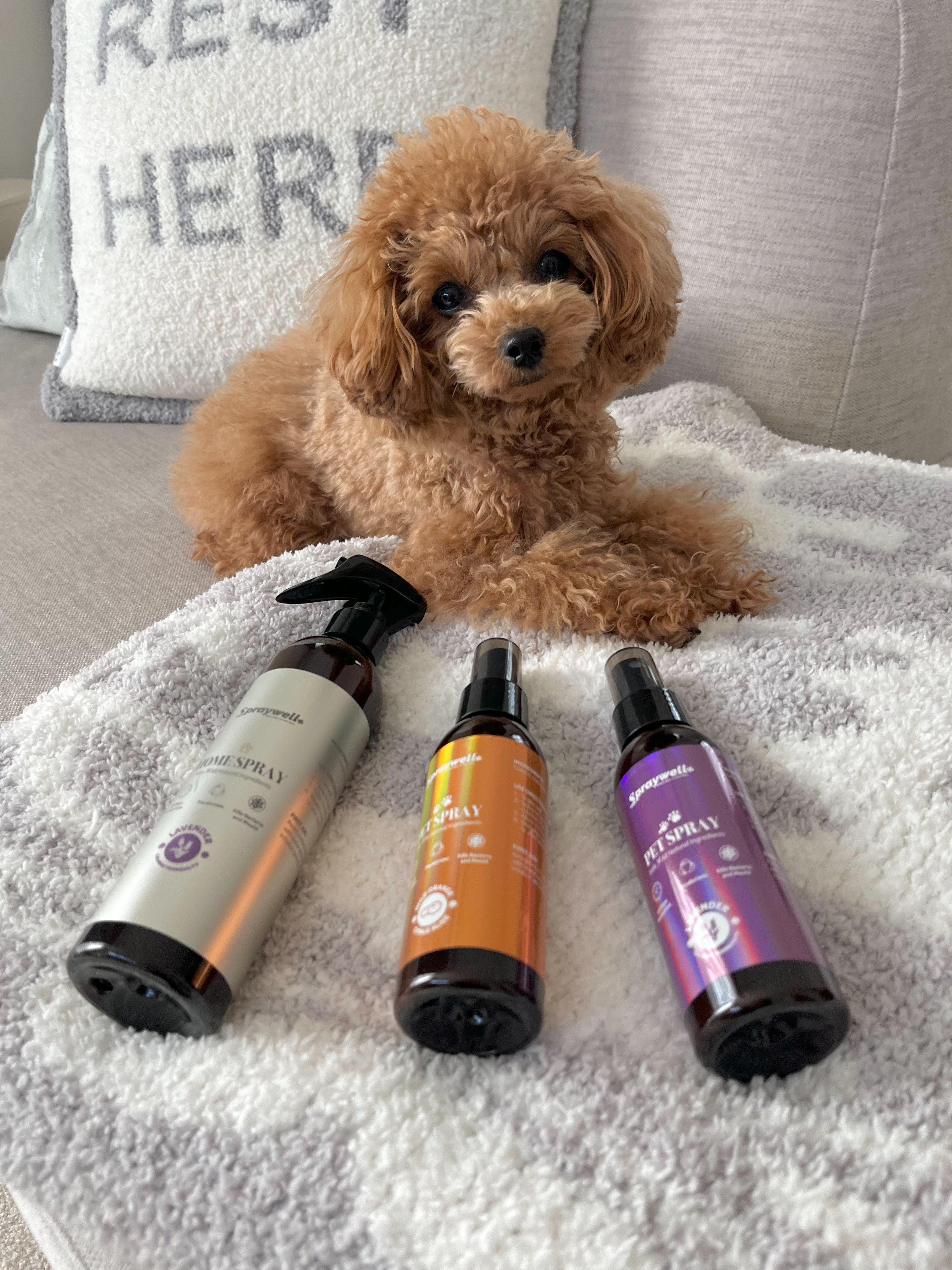 Spraywell - Protect Your Family from mould, bacteria and coronavirus